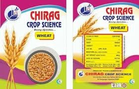 Certified Wheat Seed